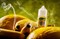 Ice Paradise Salt (30ml) 2124