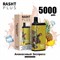 Rasht plus - 5000 затяжек 2205